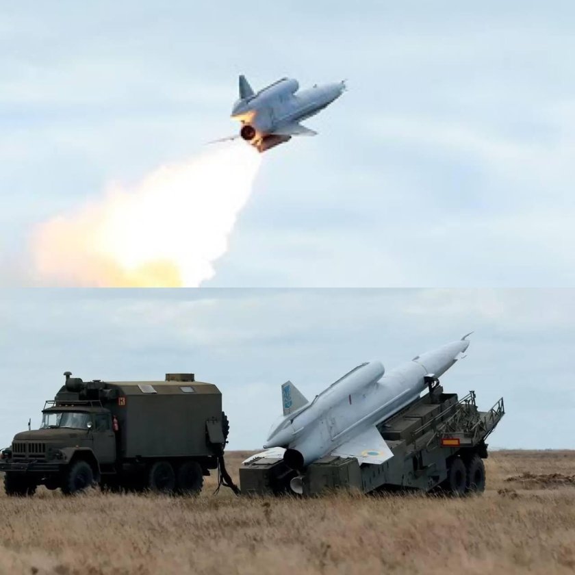 БПЛА Стриж ту-141