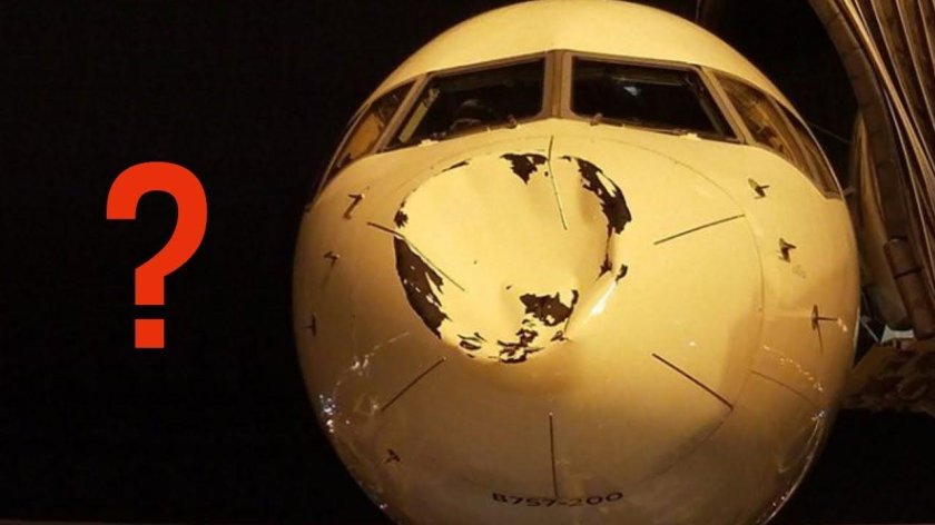 Столкновение самолета с птицей