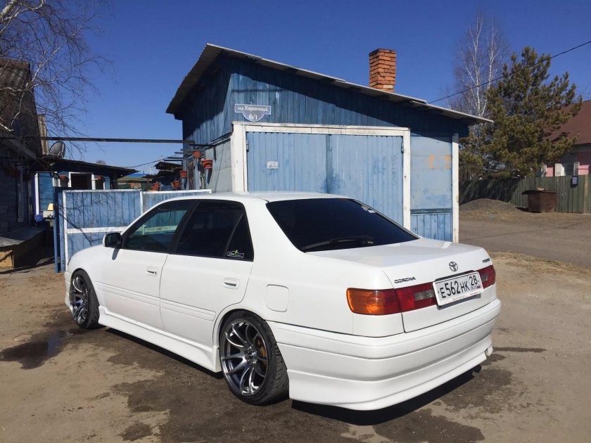 Корона Премио 210