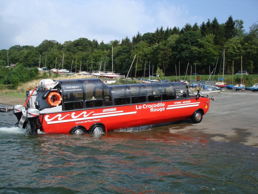 Американские амфибии