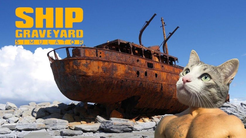 Бухта Нагаева Магадан кладбище кораблей