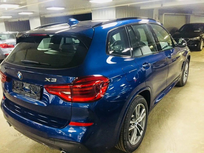 Синий Фитоник х3