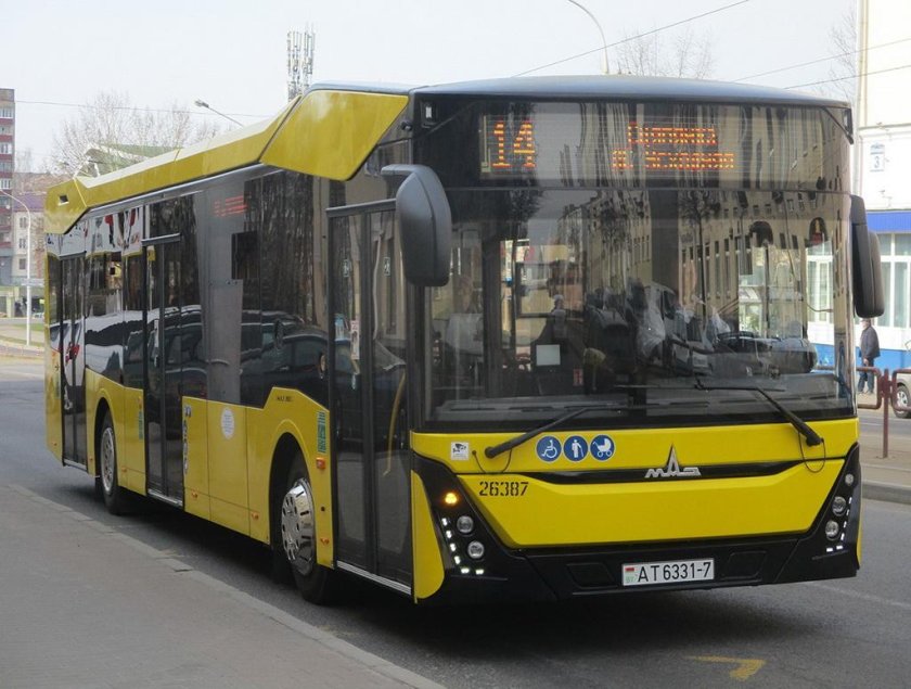 МАЗ-303 для Минска