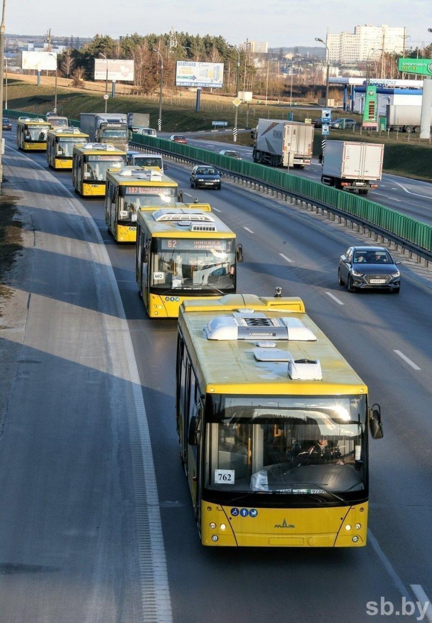 МАЗ 203 сверху