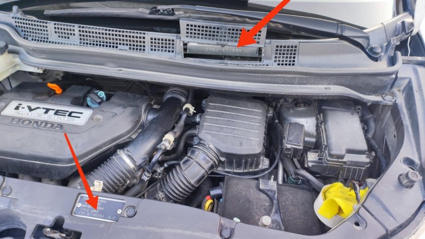 Honda Elysion двигатель 2.4