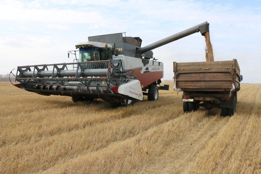 Уборка ячменя