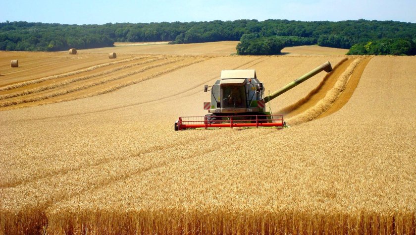 Комбайн в поле