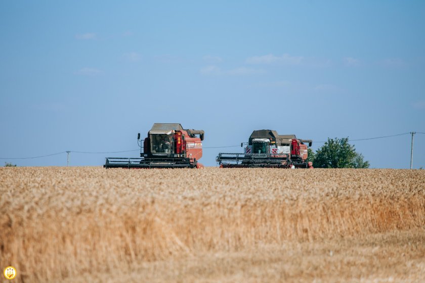 Земледелие в Чувашии