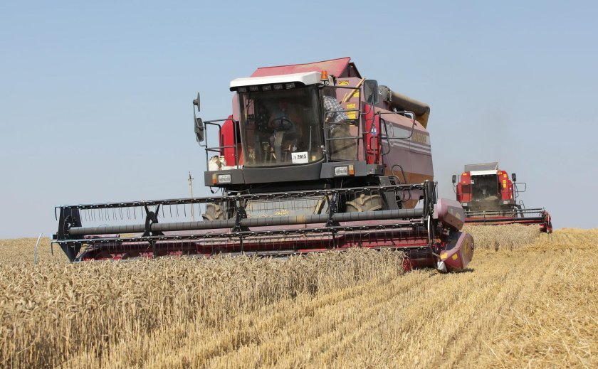 Сельское хозяйство Белоруссии