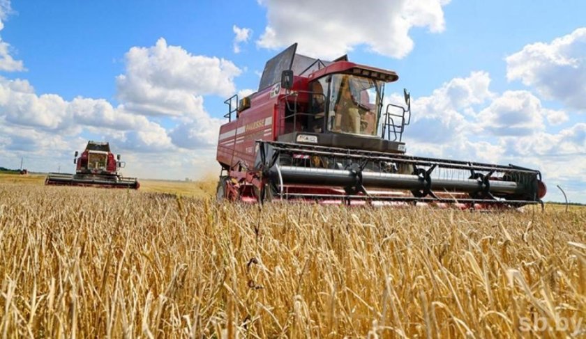 Сельское хозяйство брестской области