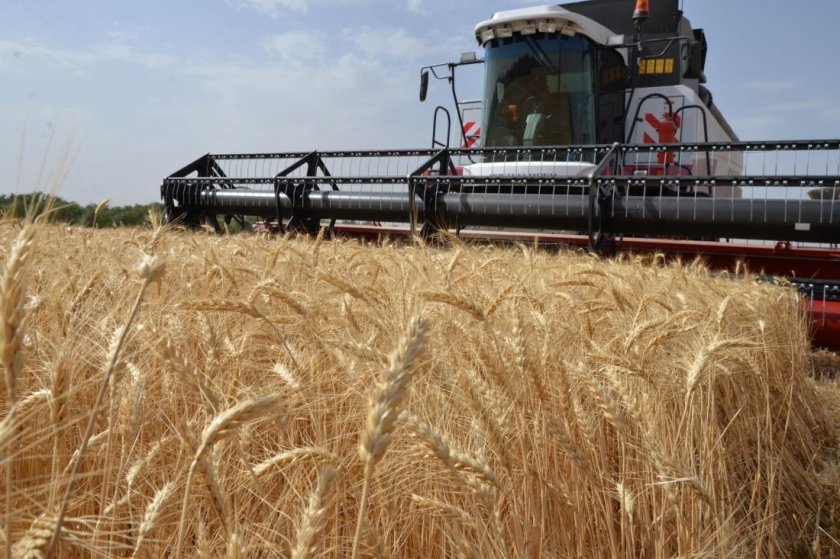 Уборка урожая