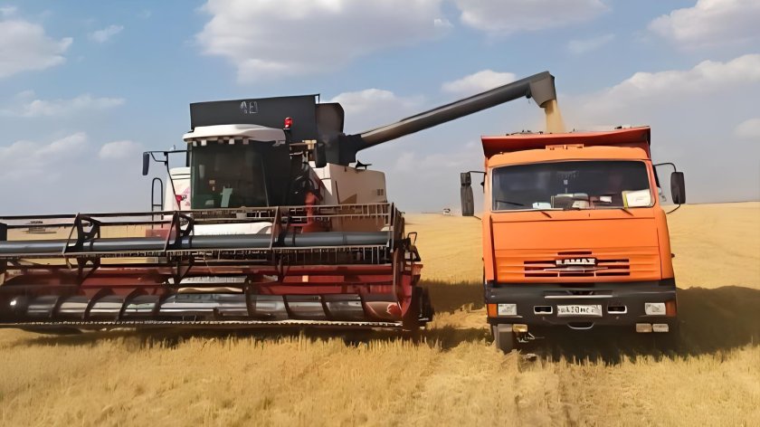 Уборка зерновых