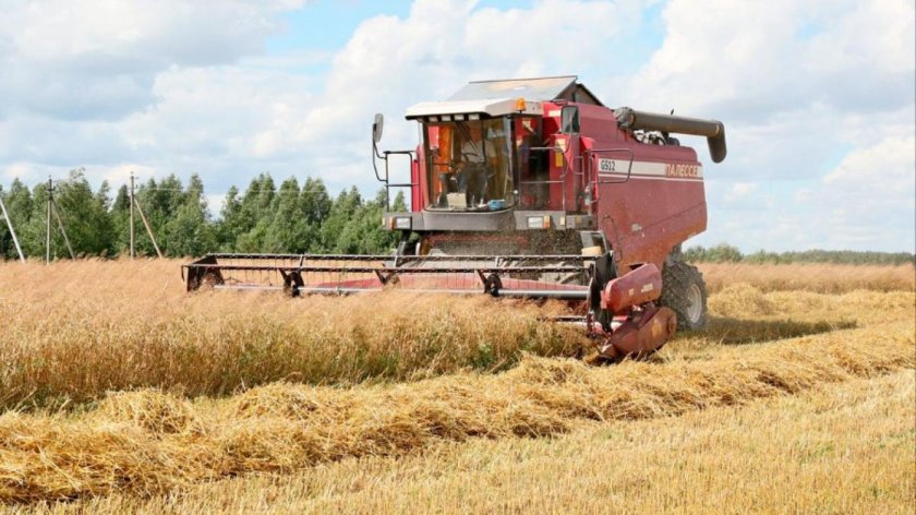 Уборочная страда Курганская область 2022