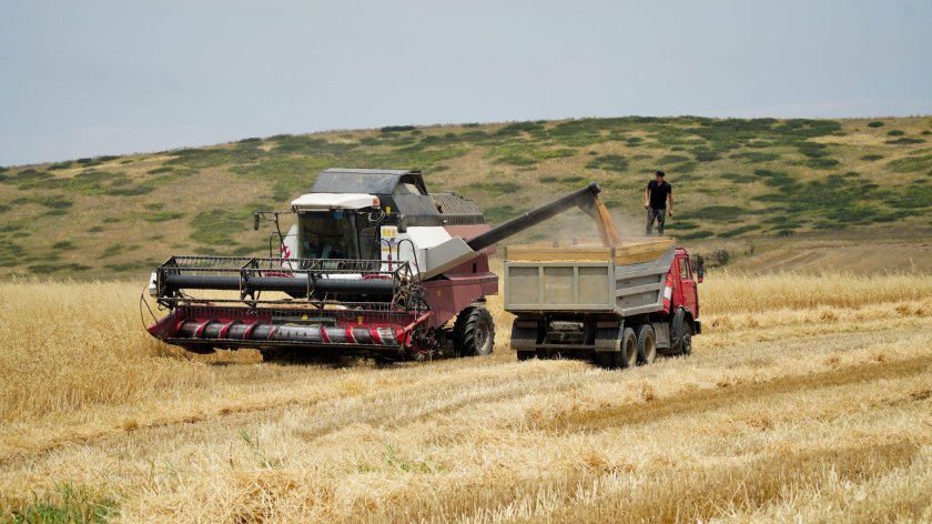 Уборка урожая