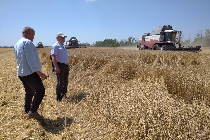 Уборочная страда Ростовская область