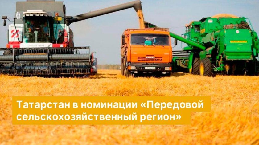 Уборка урожая