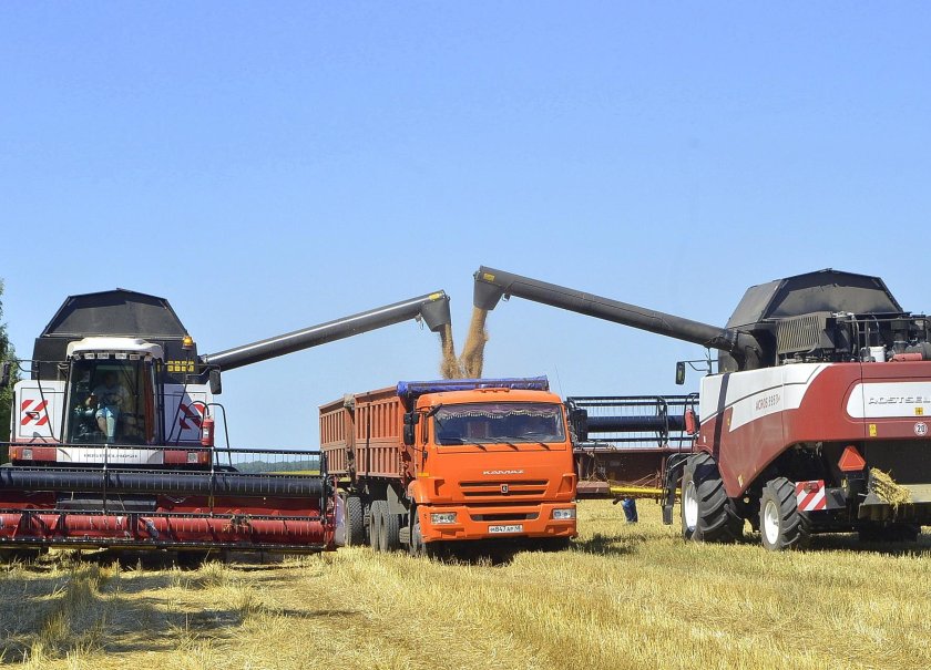 Комбайн выгружает зерно в КАМАЗ