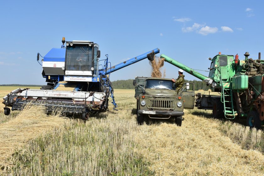 Уборочная страда в Курганской области