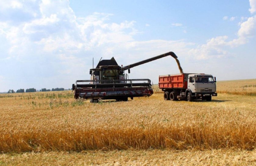 Уборка урожая