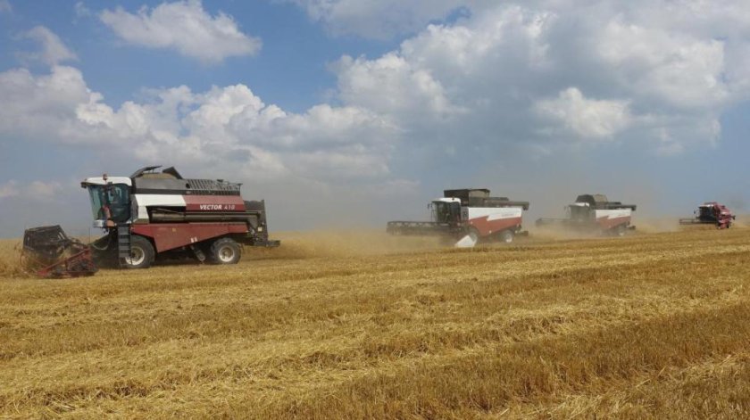 Уборка урожая