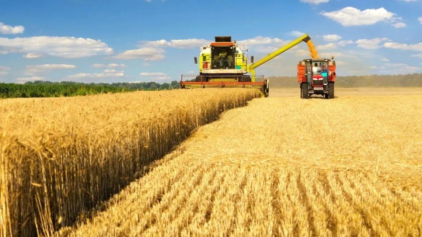 Аграрный комплекс алтайского края