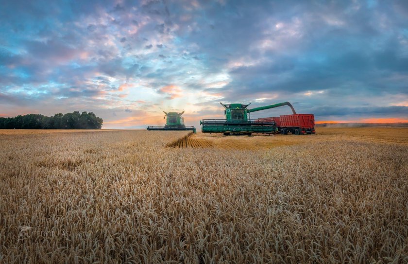 Уборка пшеницы в Краснояружском районе 2022