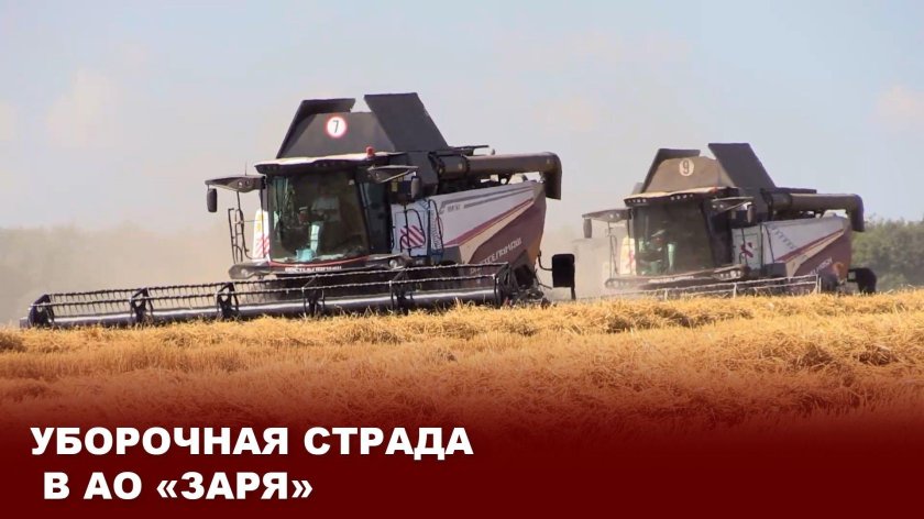 Уборочная страда ростовская область