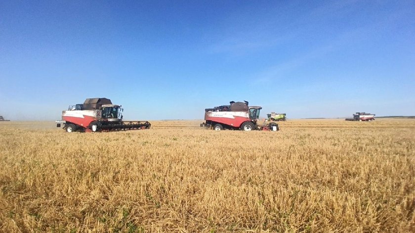 Уборка урожая