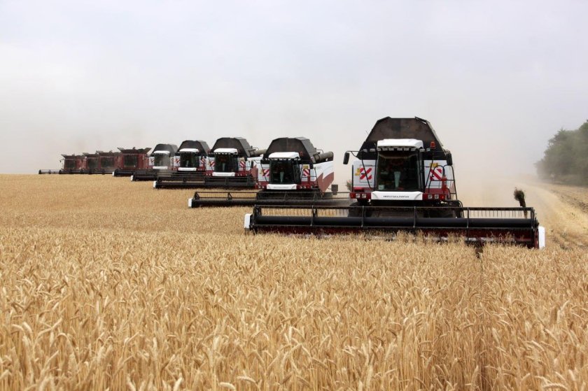 Уборка урожая