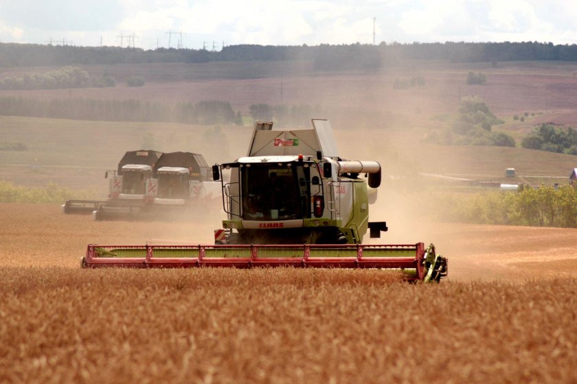 Уборка пшеницы комбайном
