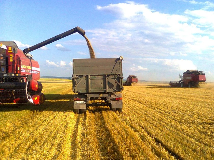 Сельскохозяйственное предприятие