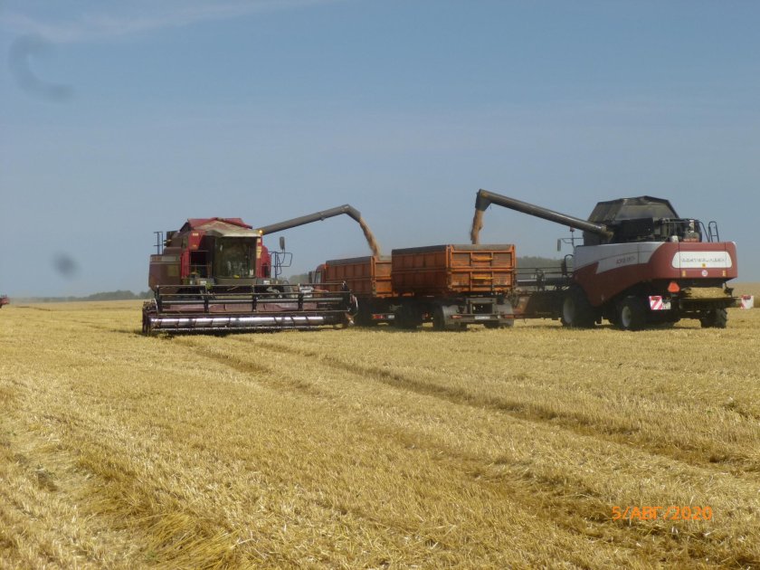 Уборочная страда 2021 в Белгородской области