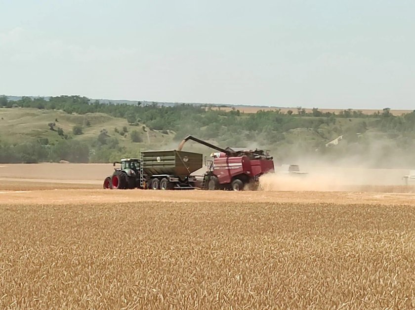 Уборка урожая