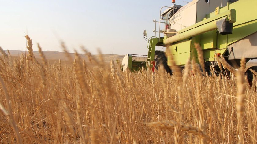 Хозяйство ставропольского края