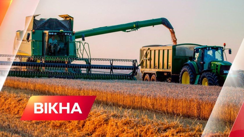 Сбор пшеницы