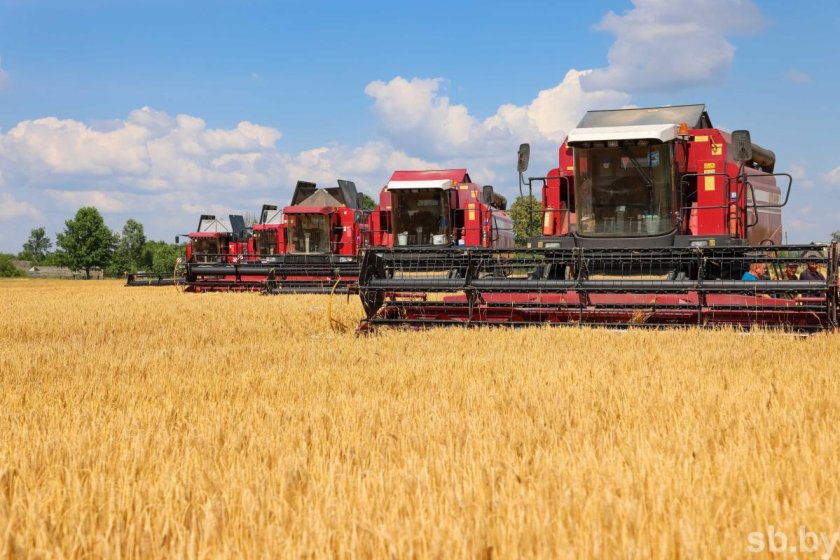 Уборка урожая