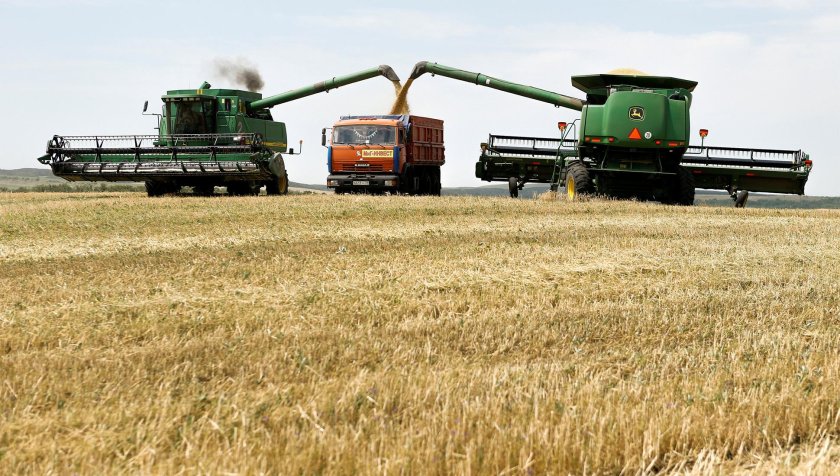 Уборка пшеницы