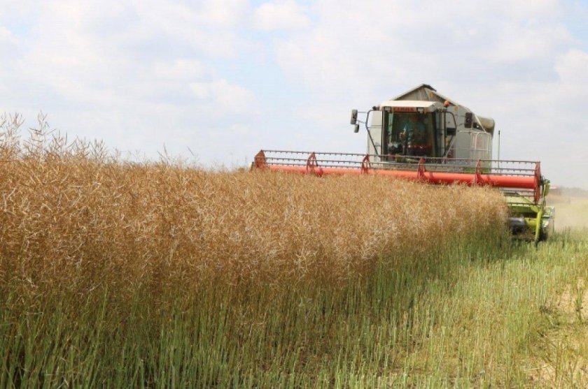 Хозяйство Брянской области