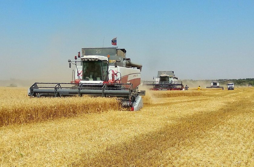 Сельское хозяйство Алтайского края зерноводства