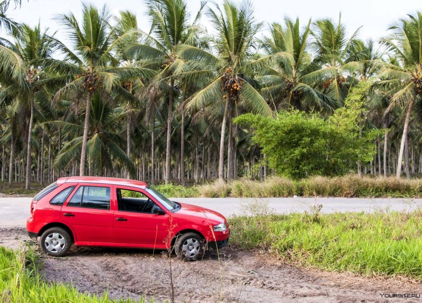Бразильские машины