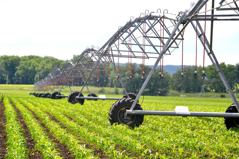 Дождевальное орошение