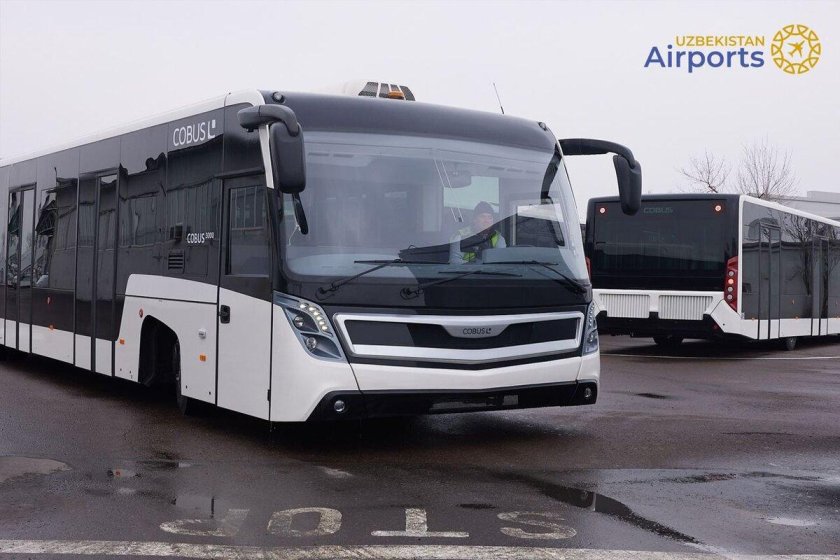 Перронный автобус маз