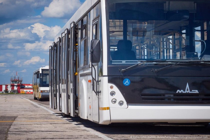 Автобус МАЗ Псков