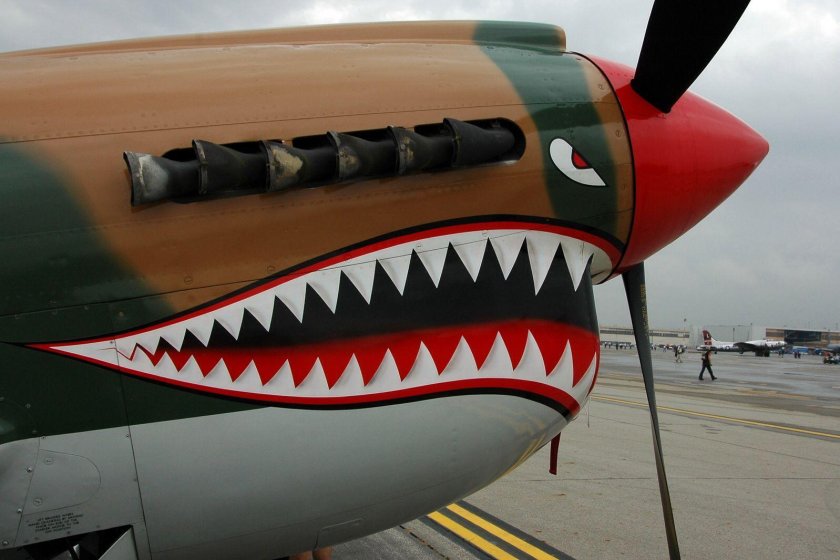 Самолет Шарк акула