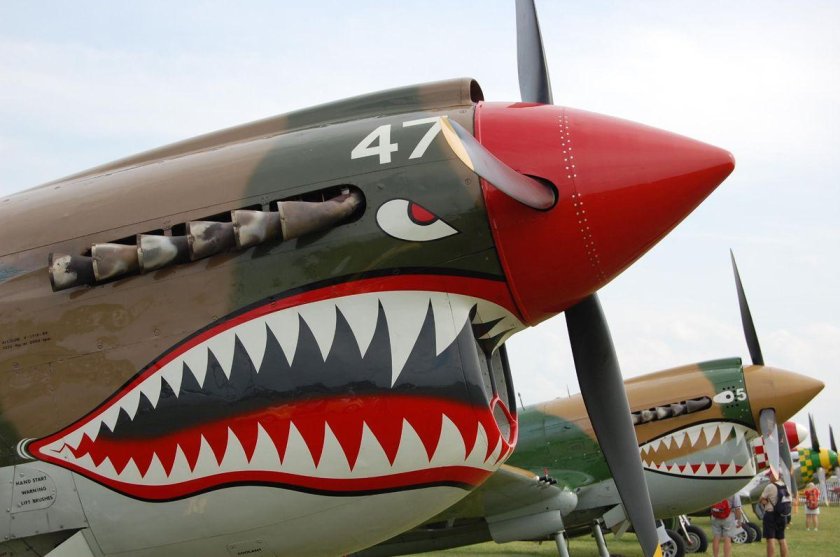 Тайгер Шарк самолет