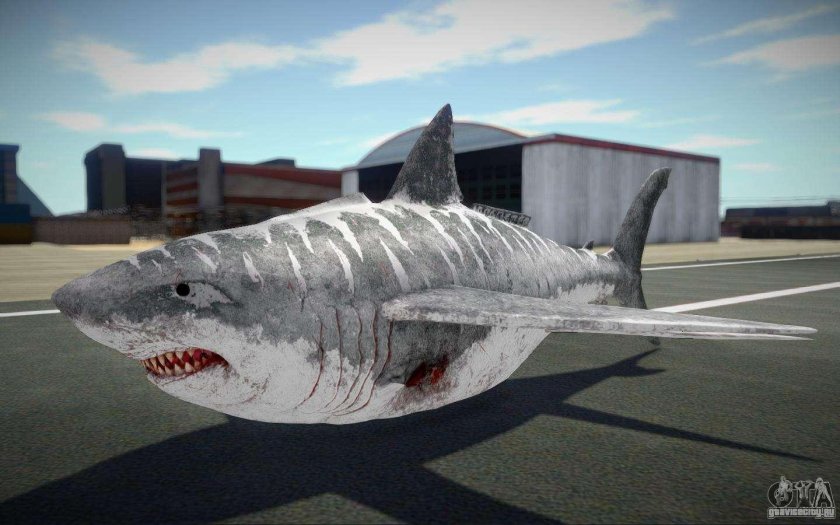 Акула самолет Тревор Хендерсон