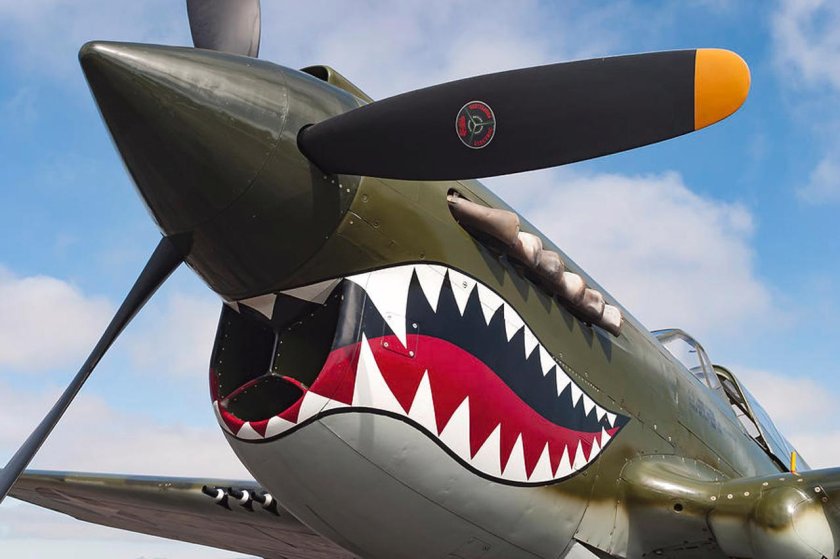 Shark Teeth nose Art on Military planes