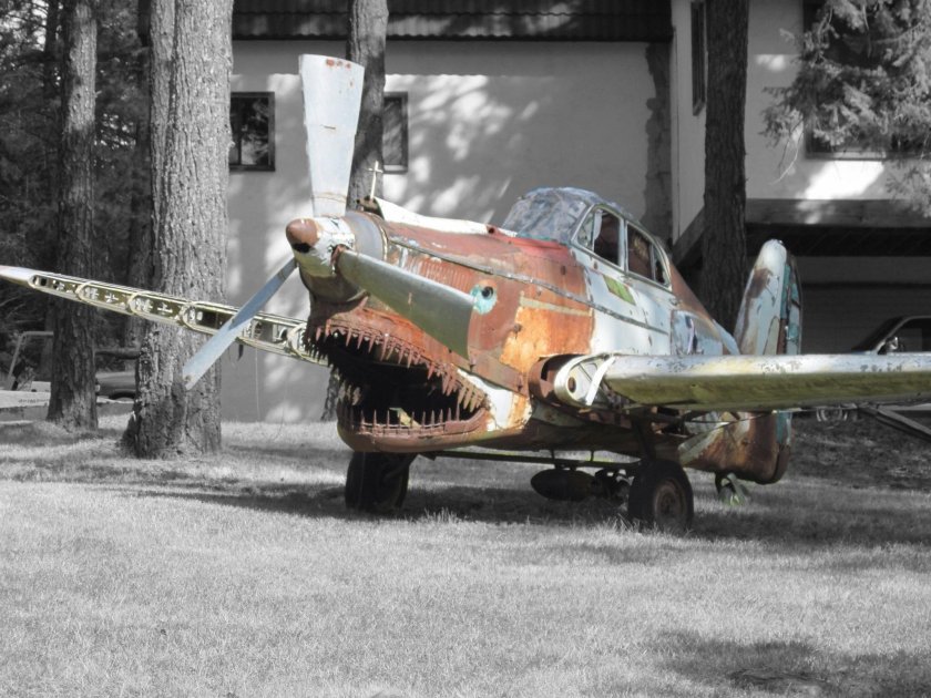 Пасть на самолете