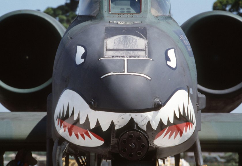 A-10 Thunderbolt Shark