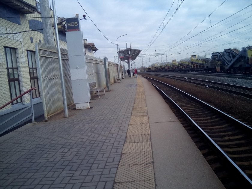 Царицыно платформа 2